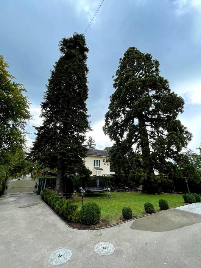 Residence Mont-Blanc เจนีวา ภายนอก รูปภาพ